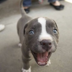 BROWN SUGAR (Cover) LIVE