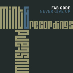 Fab Code - Never Give Up (Mint & Mustard Recordings)