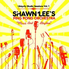 Shawn Lee's Ping Pong Orchestra - Bollywood