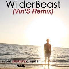 WilderBeast (Vin'S Remix)