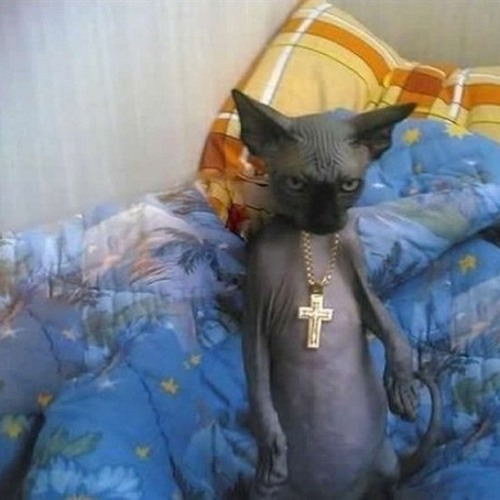 BlaqkSheep- Ginger+Blaqksheep Vday (2012 Mix 3.5)