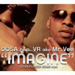 DOSA - IMAGINE feat. VR aka Mr. Vee (Lotus Flower Bomb remix)