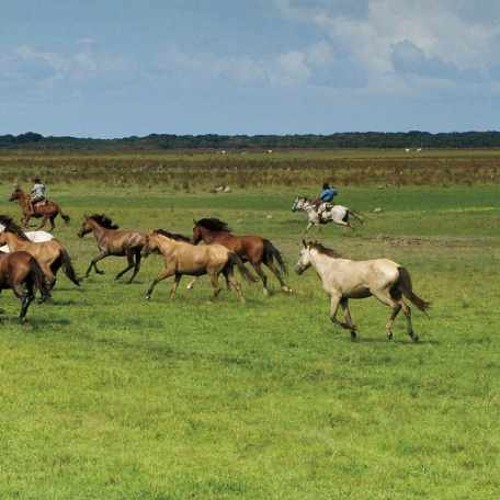 CUATRO CORAZONES-DANIEL GUALDRON