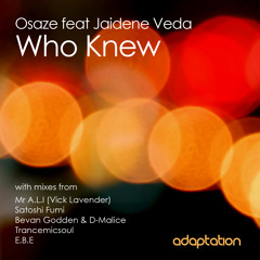 Osaze feat. Jaidene Veda - Who Knew (Trancemicsoul Vocal Mix)