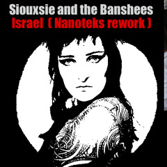 Siouxsie and the Banshees - Israel ( ANA Rework )