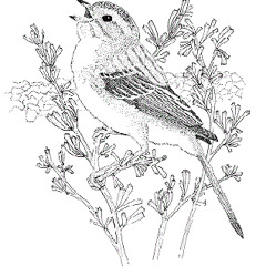 "Myself to You" - (an original on piano)