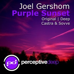Joel Gershom - Purple Sunset (Castra & Sovve Remix) [Perceptive Deep] [2010]