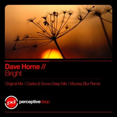 Dave Horne - Bright (Castra & Sovve Deep Mix) [Perceptive Deep] [2011]