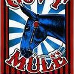 Gov't Mule Rocking Horse