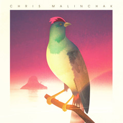 Chris Malinchak - There I Was