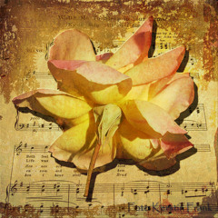 Brizynfony - Petalos de Rima
