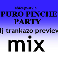 PURO PINCHE PARTY  preview mix