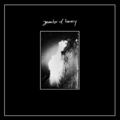 Janitor of Lunacy - On The Dancefloor