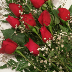 Dozen roses produced by j~l beatz