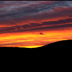 Red Wine and a Sunrise feat. $nake Charmer