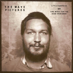 The Wave Pictures - Little Surprise