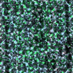 Home (Township Remix)