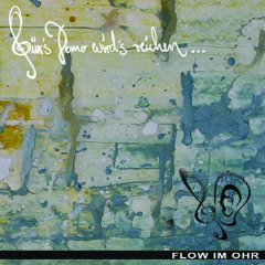 18 Flow Im Ohr-Fuer's Demo wird's reichen