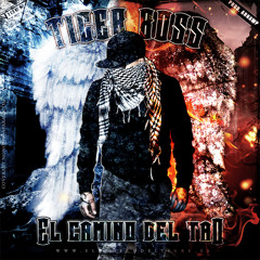 Tiger Boss - El camino del tao (Prod Arnawp)