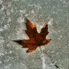 improvised jam 02 14 12