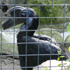 PX extract from live @klick club part2