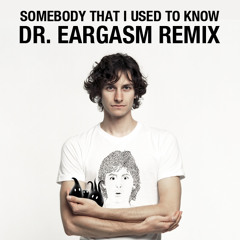Somebody That I Used To Know (Dr. Eargasm Remix)