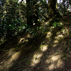 Guitar Concatenation