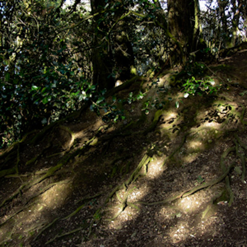 Guitar Concatenation