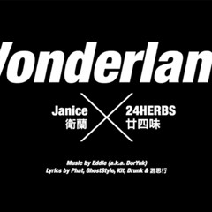 廿四味 ft.卫兰 -Wonderland (Hyman Rmx)