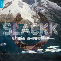 Slackk - She's A Vector