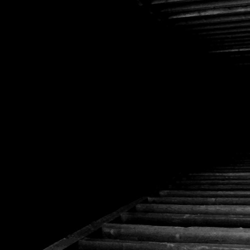 Suspended In The Void