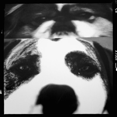 01B The World Enders - Beginning NEW (phase III)