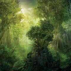 Wandering The Forest of Verdante
