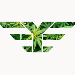 02 legalizala