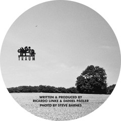 Microtrauma - Saturation (Ryan Davis Remix) // Traum Schallplatten