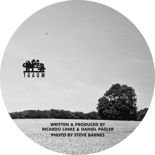 Microtrauma - Saturation (Ryan Davis Remix) // Traum Schallplatten