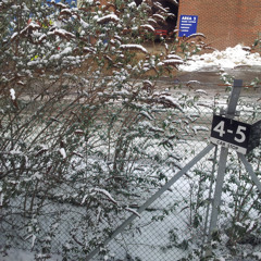 A little ditty before work at Tents HQ