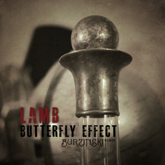 Butterfly Effect (Lamb remixed by Burzinski)
