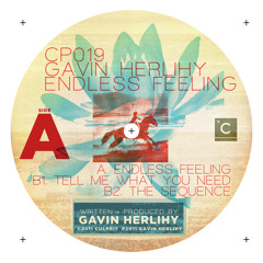 Gavin Herlihy - Endless Feeling (Larse Remix)