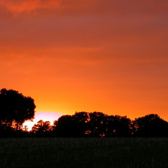 Dance Kuduro - Throw Your Hands Up Remix | Snapper Bootleg