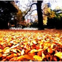 Mevsim Sonbahar | Dubstep - Oke