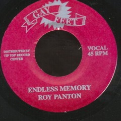 Endless Memory - Roy Panton