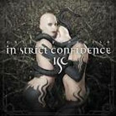 Promised Land - In Strict Confidence (IA Remix)