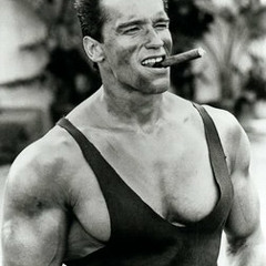 Tiesto ft. Arnold Schwarzenegger - Maximal Pumping and Cumming
