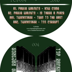 Twinhooker TOO CORRUPT