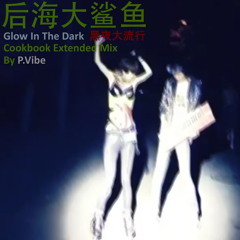 Glow In The Dark 黑夜大流行 (Cookbook Extended Mix) l  后海大鲨鱼  l  by P.Vibe