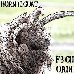 10-After the fall(testing the waves)-NO VOCAL