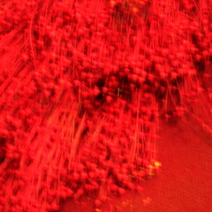 Canción sin canción