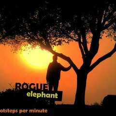 The Return of the roGue elephant
