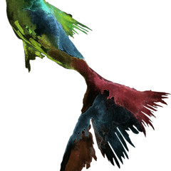 itimen no nanohana （Moshimoss Ver.）